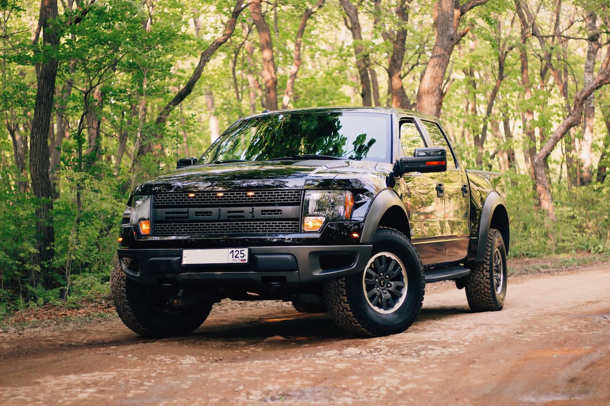 A black Ford F-150 parked in the forest in the daytime with blinkers on. 