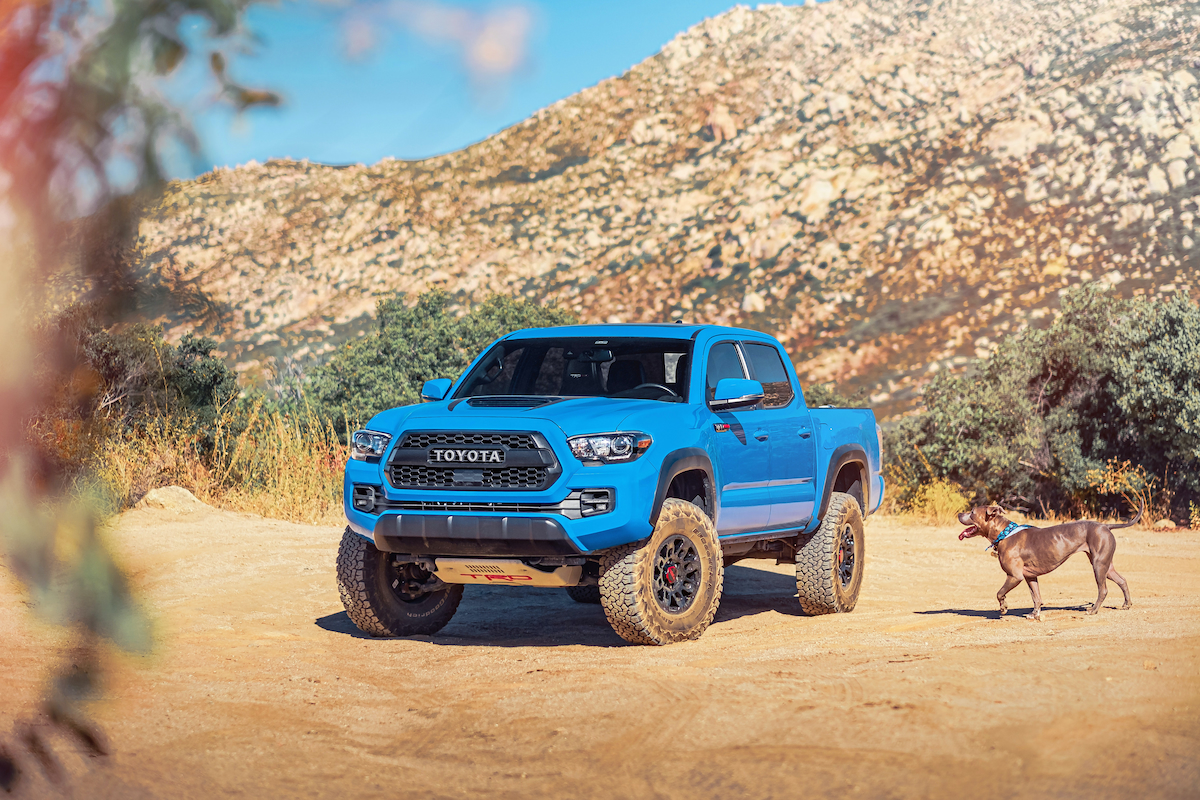 A blue pickup truck parked on a desert road behind a mountain, with a brown dog approaching.
